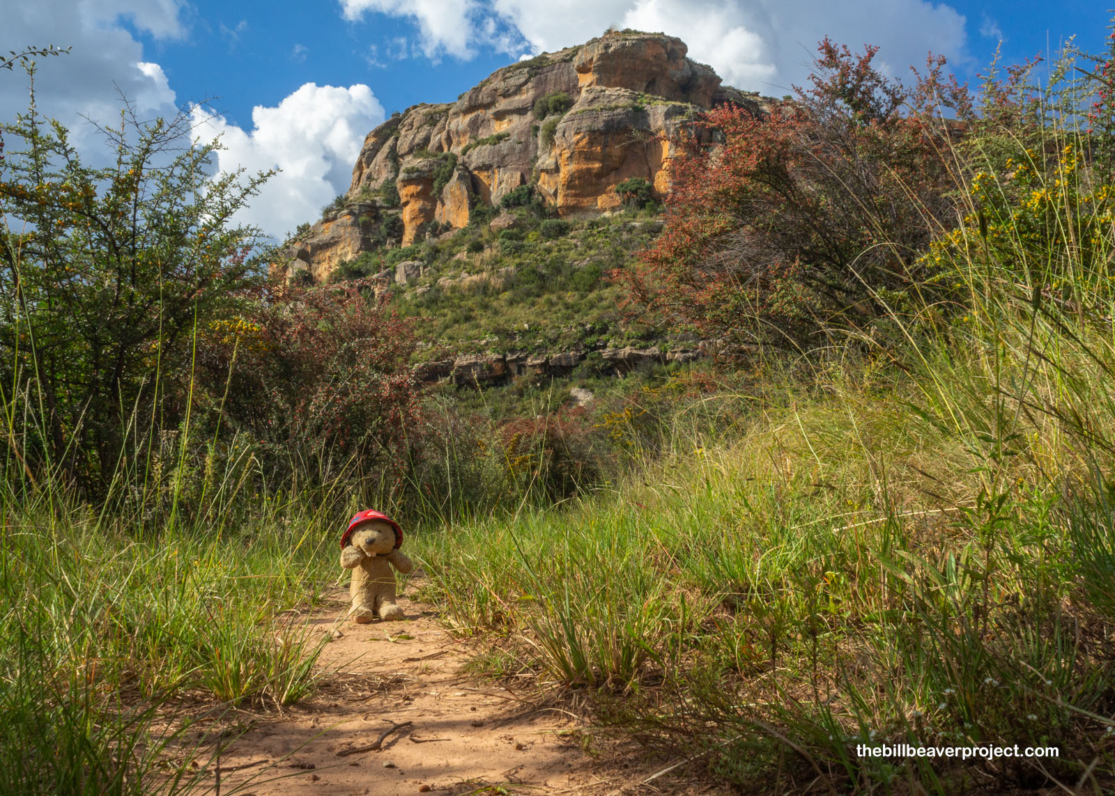 Located in the stunning foothills of the Drakensbergs!