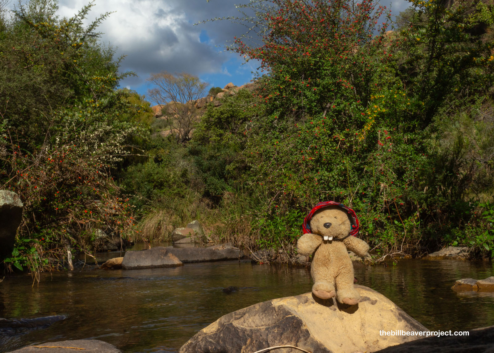 Crossing a stream!