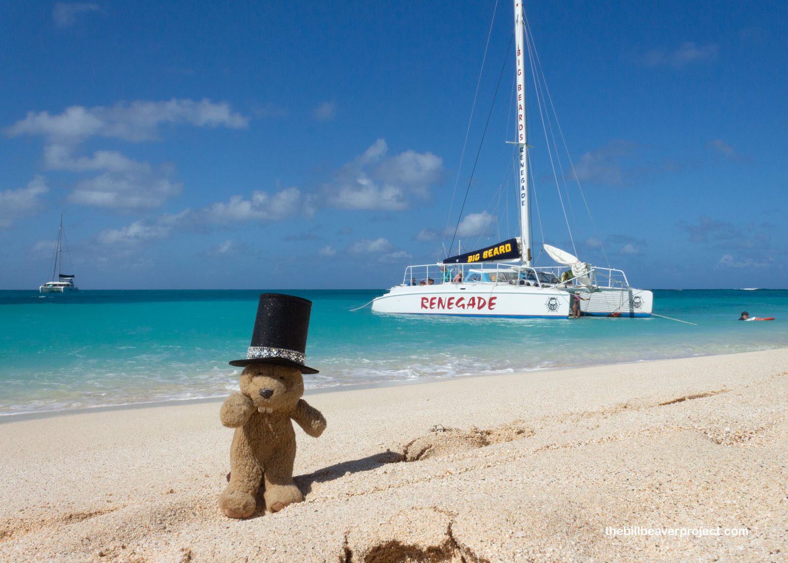 Can you believe that Caribbean blue?!