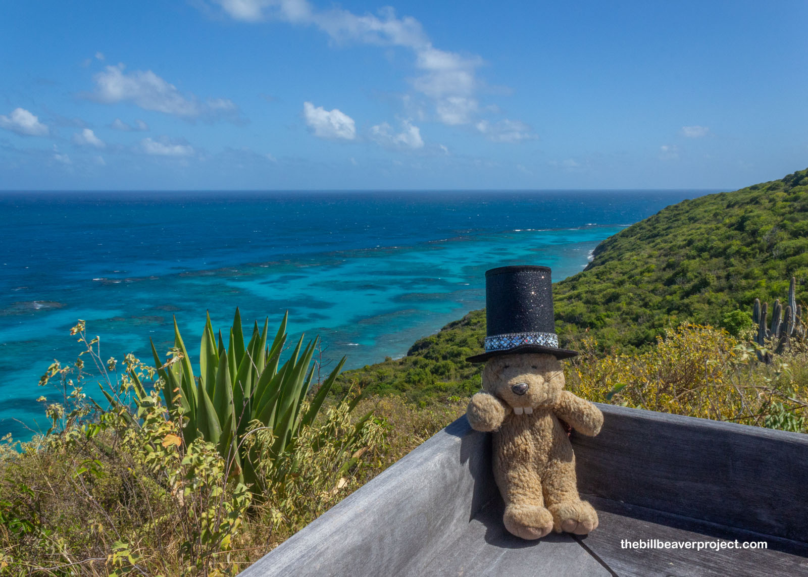 If you have to settle, it may as well be for this view!