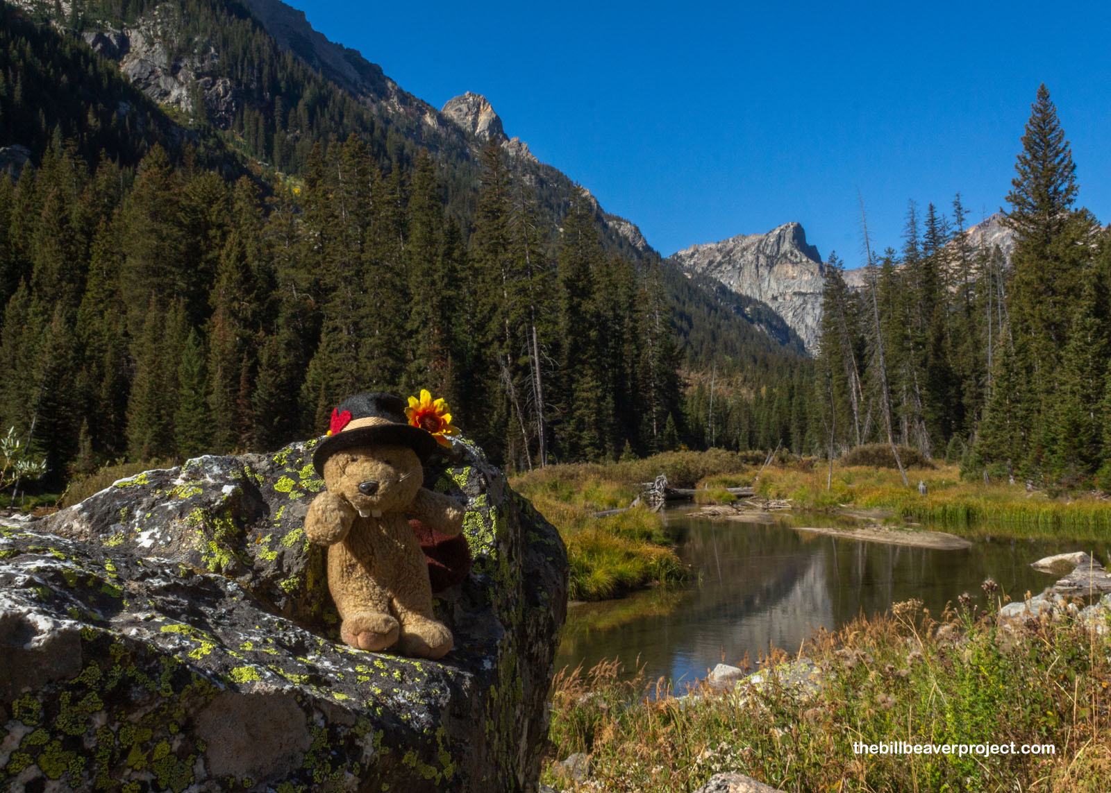 Gorgeous Cascade Canyon!