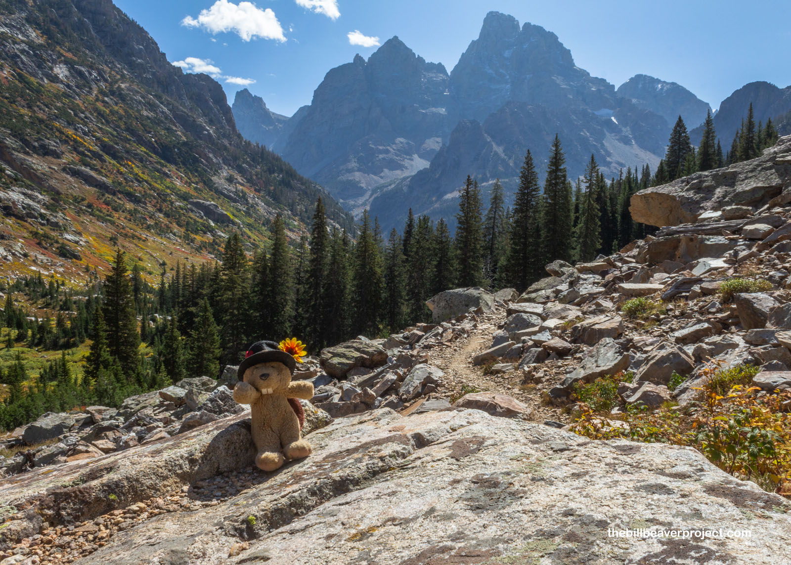 Grand Teton on the way to Lake Solitude!