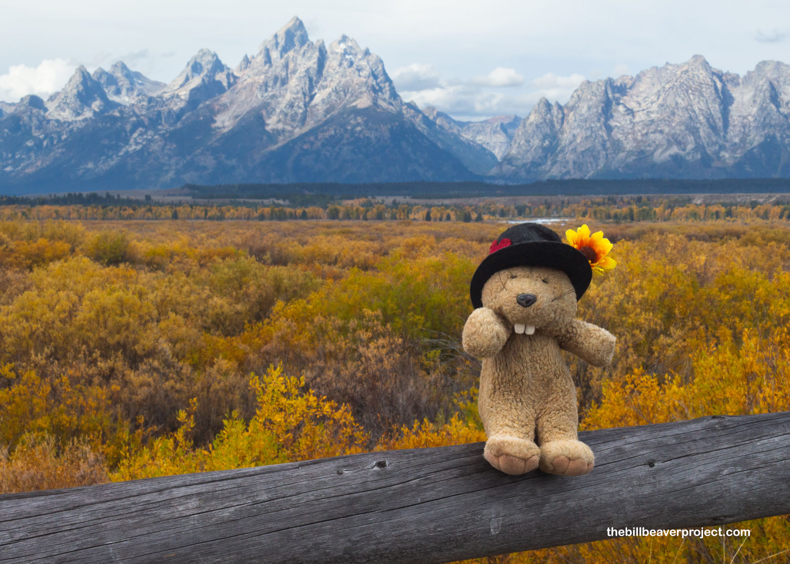 An iconic view from the Cunningham Cabin!