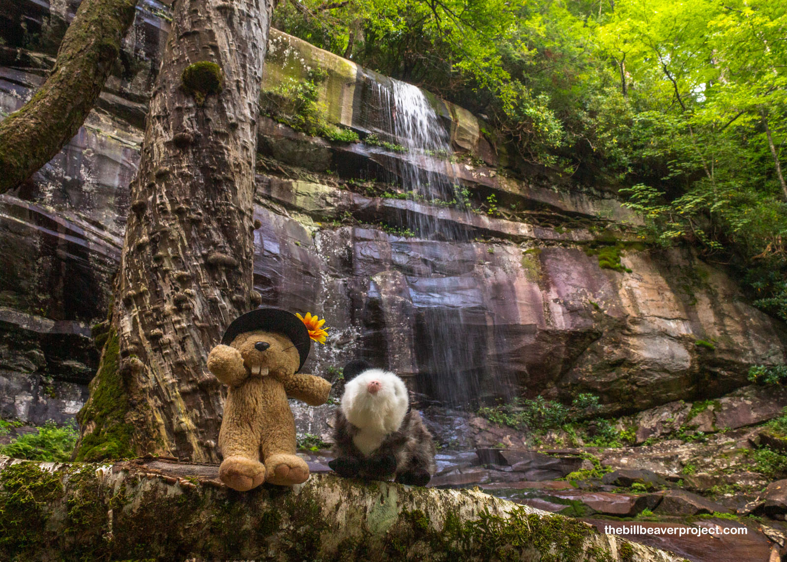 Me and Penelope the 'Possum at Rainbow Falls!