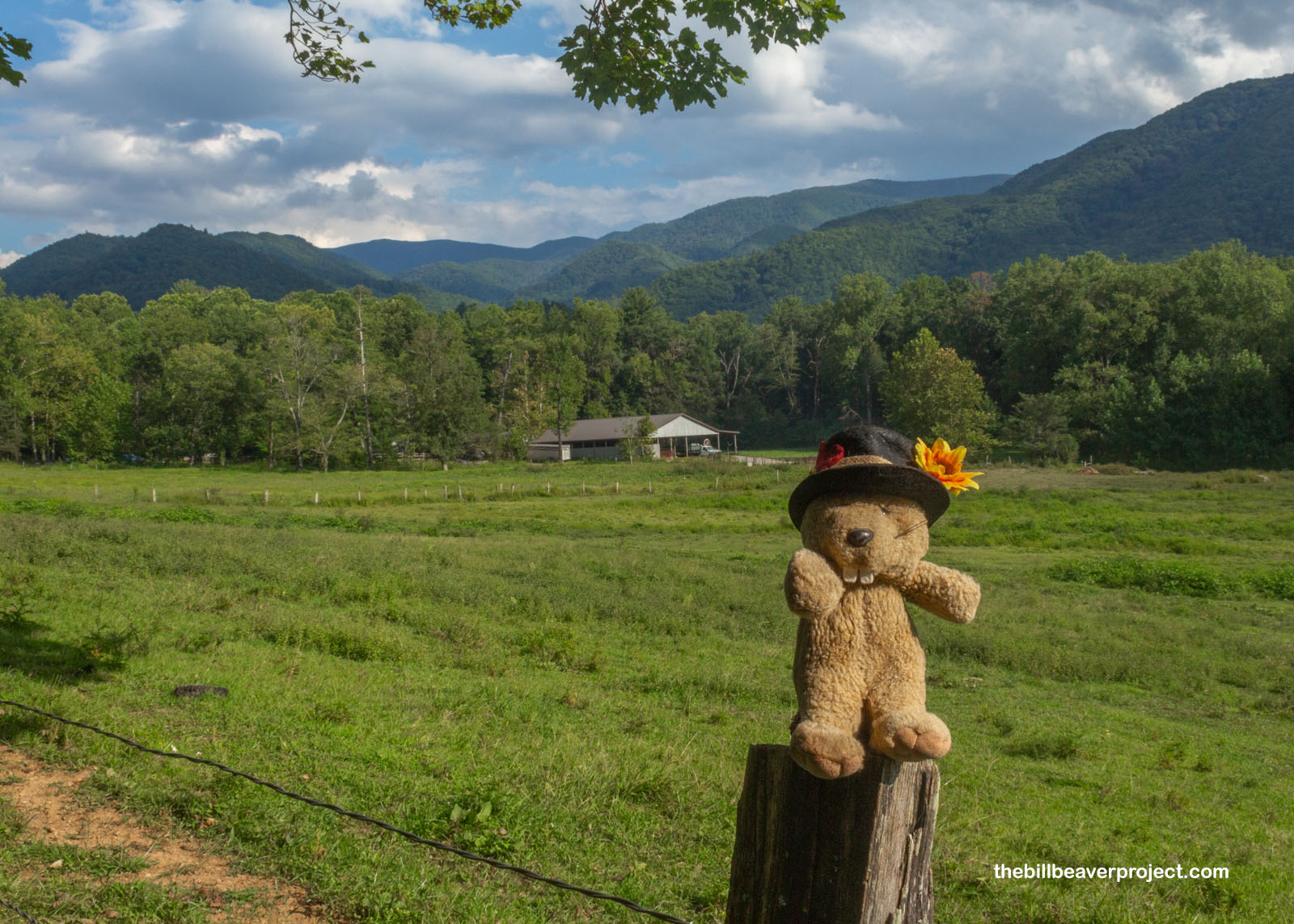 The fields of Cades Cove have largely been preserved!