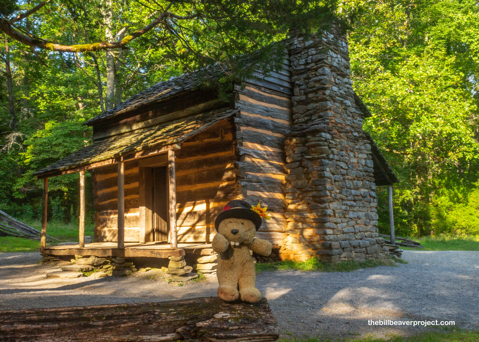 The John Oliver Cabin!