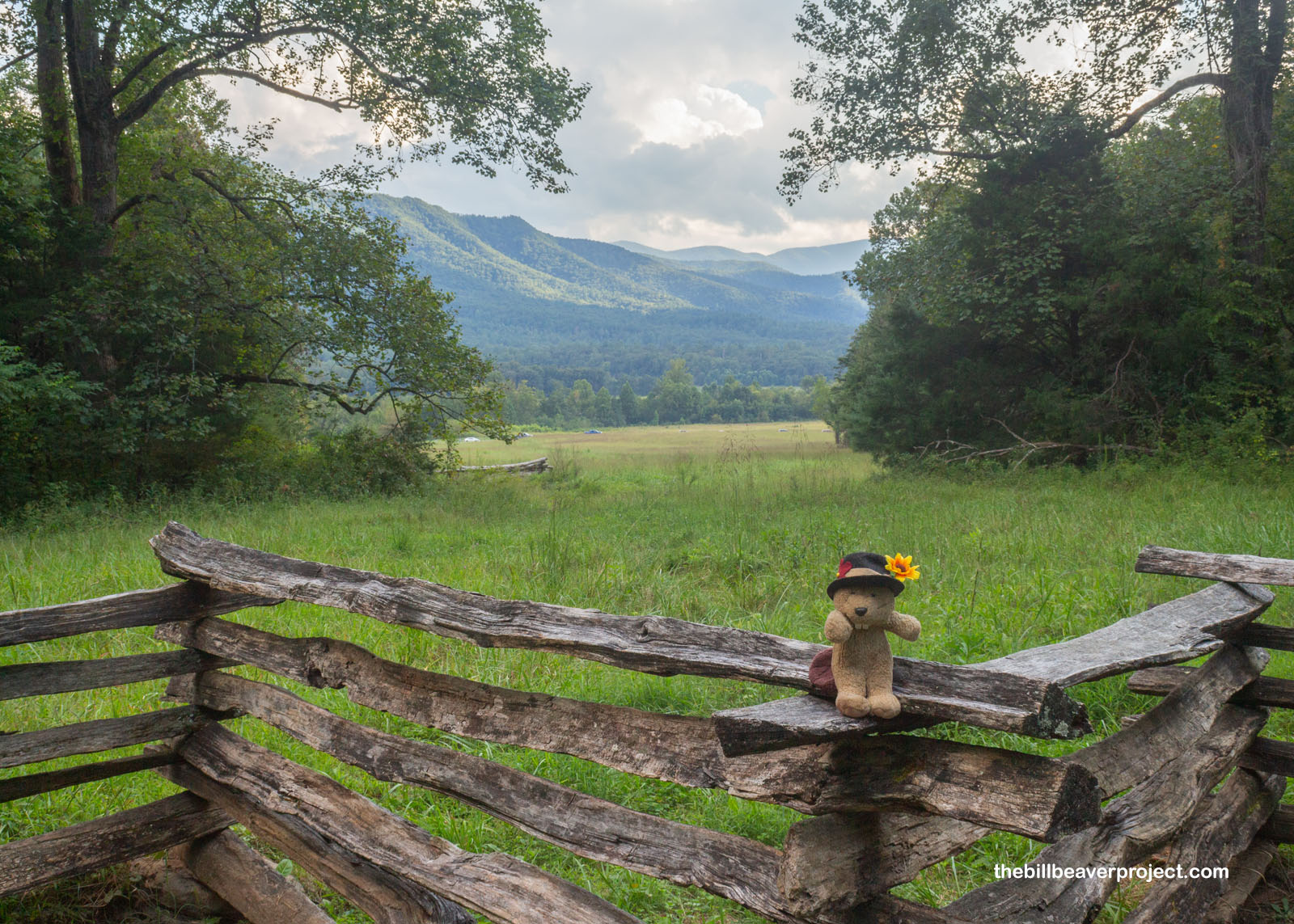 You can see the Smoky Mountains on all sides!