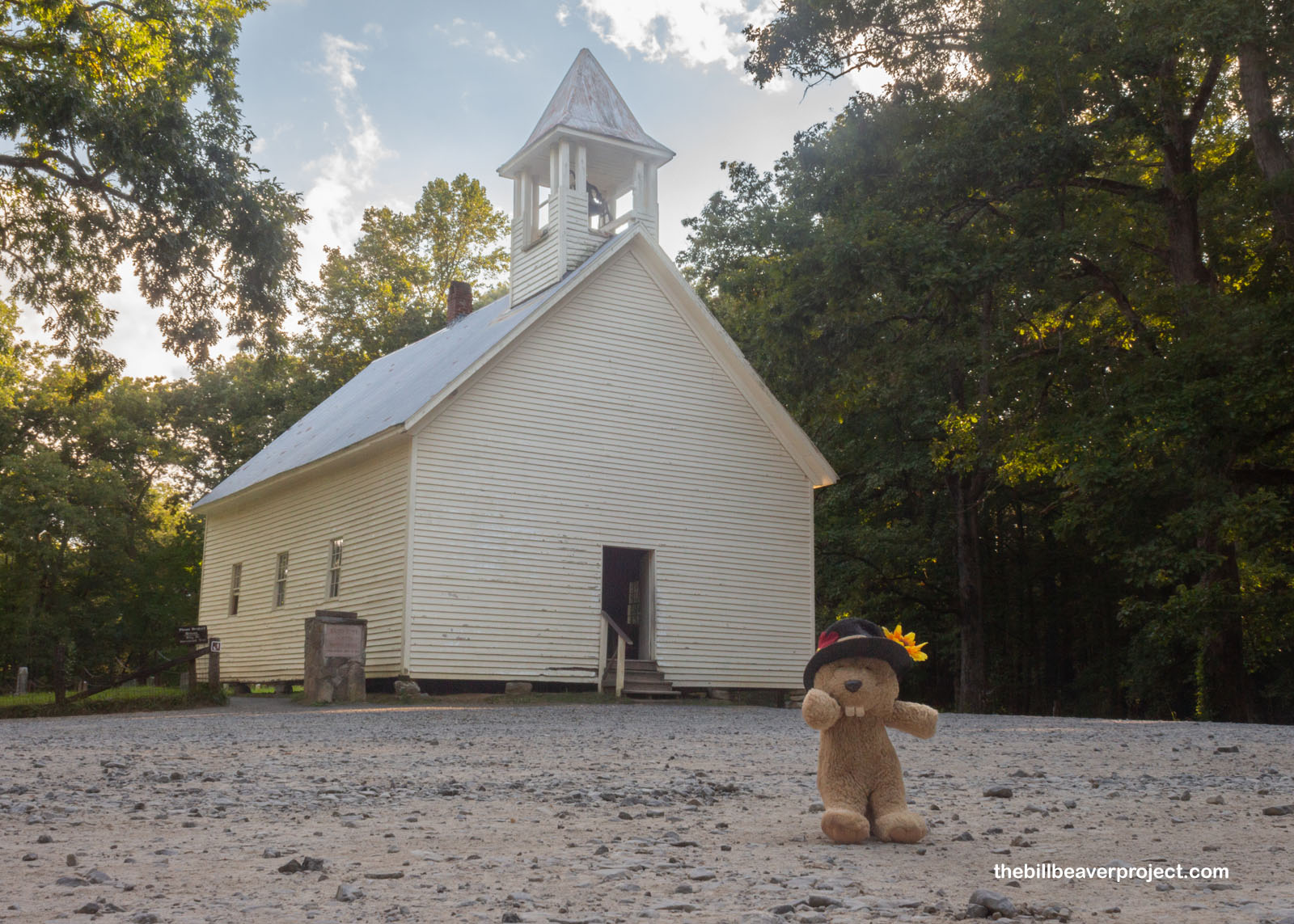 The Primitive Baptist Church!