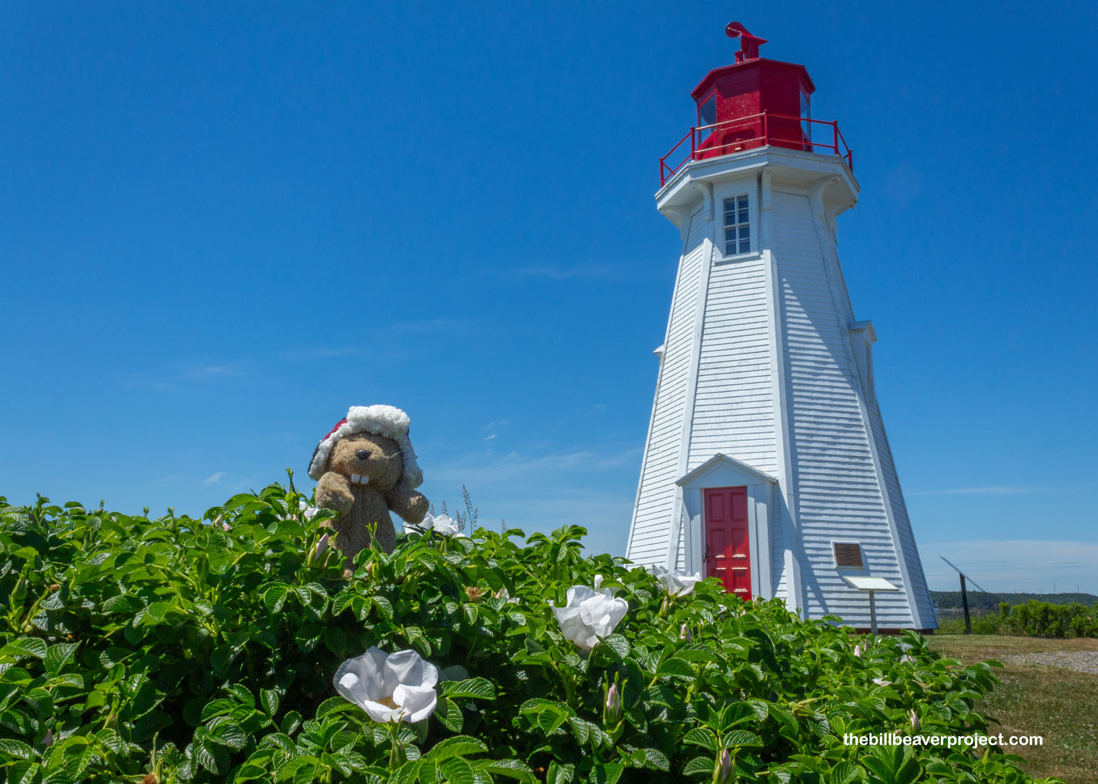 The Mulholland Point Lighthouse!