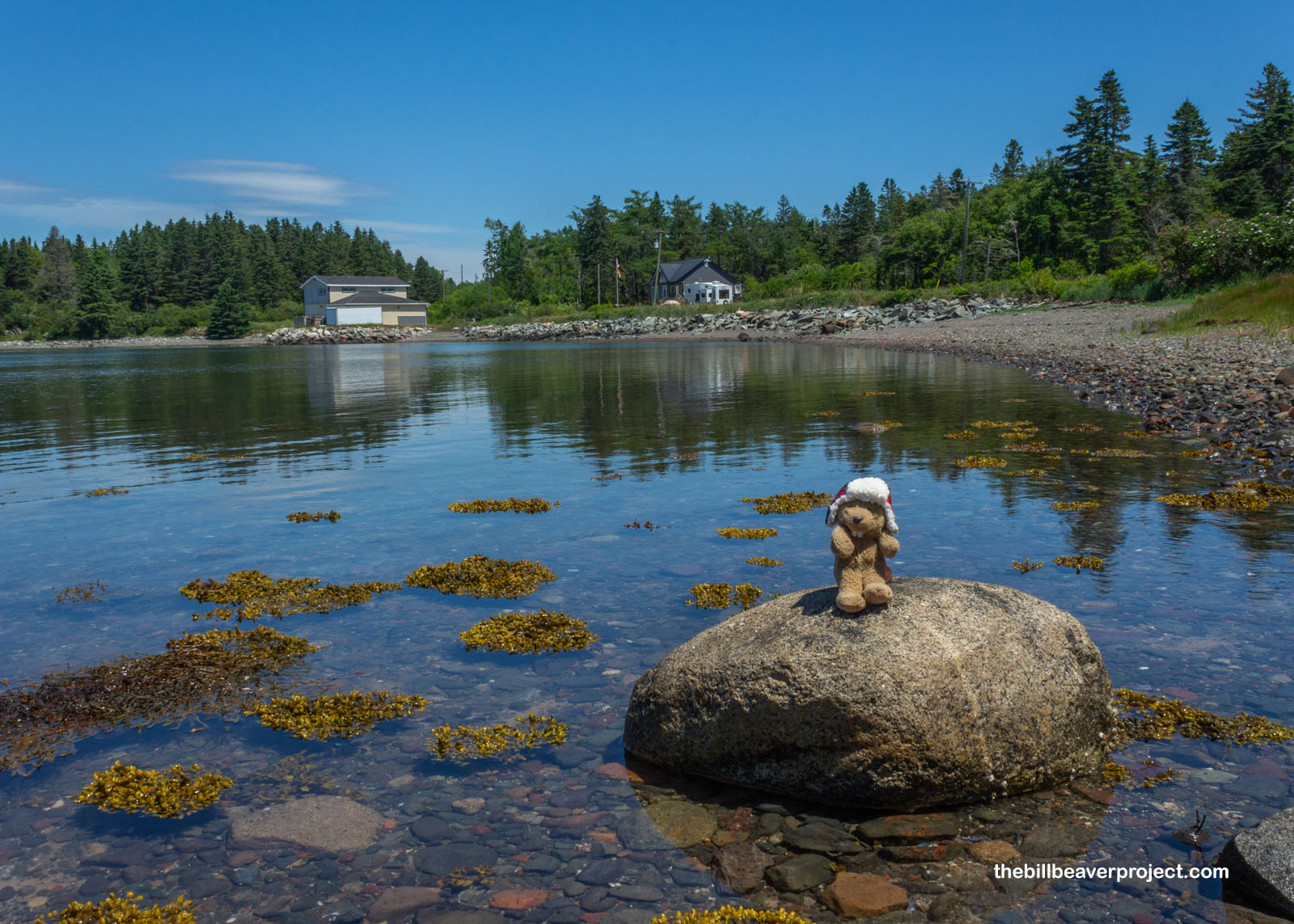 The beauty of the Lubec Narrows!