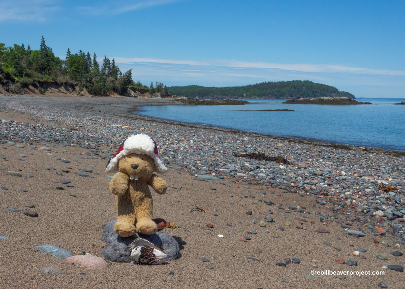 Raccoon Beach on the Atlantic side!