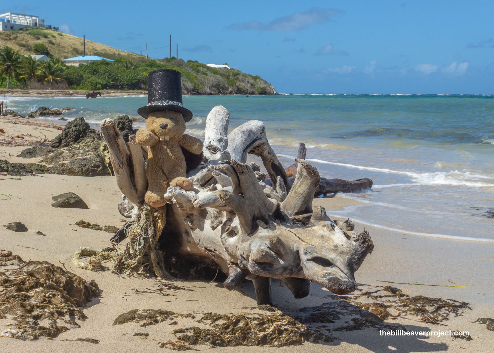 On the beach with the visitor center on the hill behind me!
