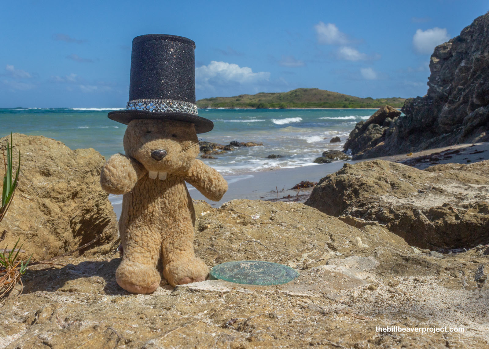 A USGS topographic marker!