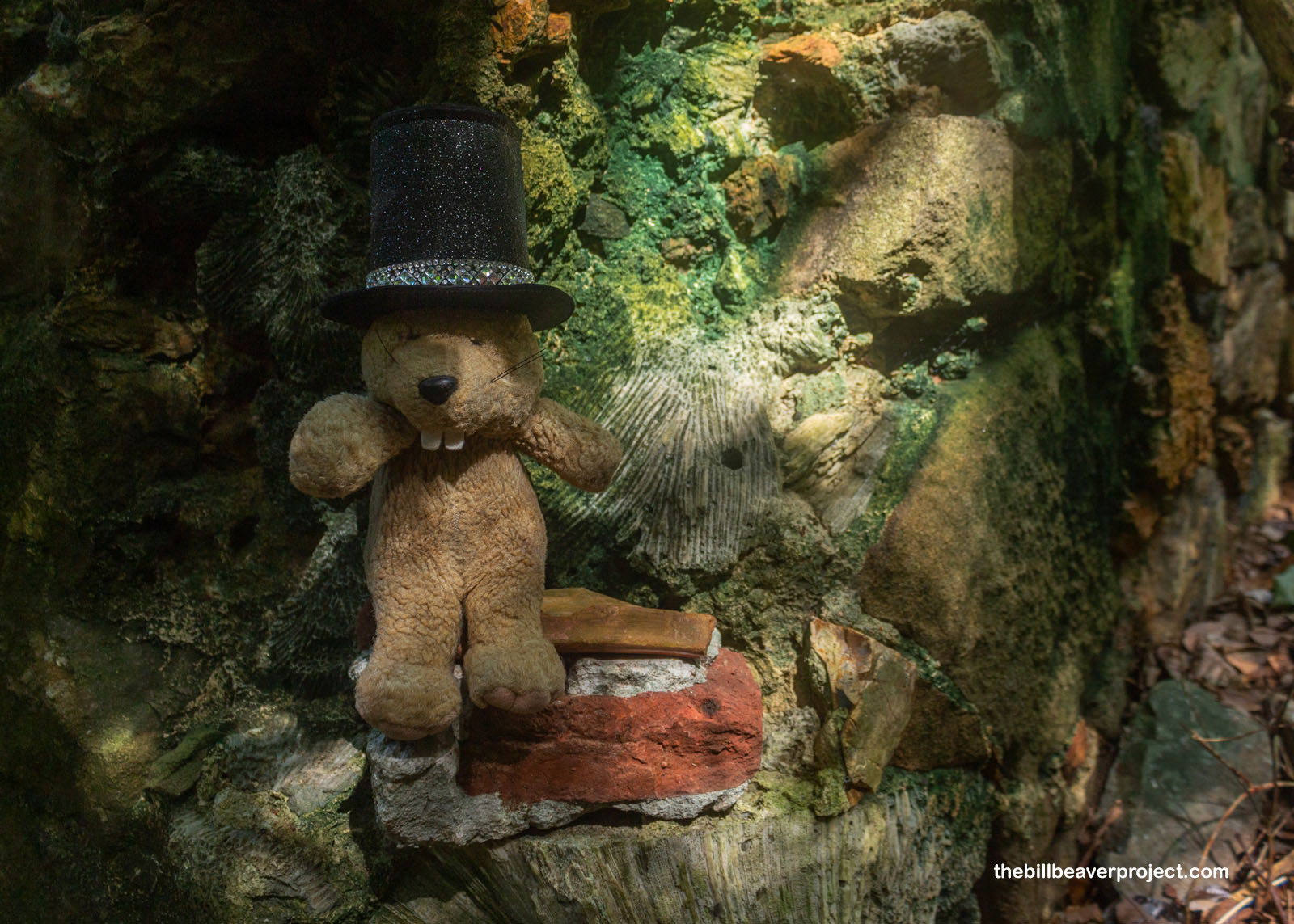 A close-up of the masonry!