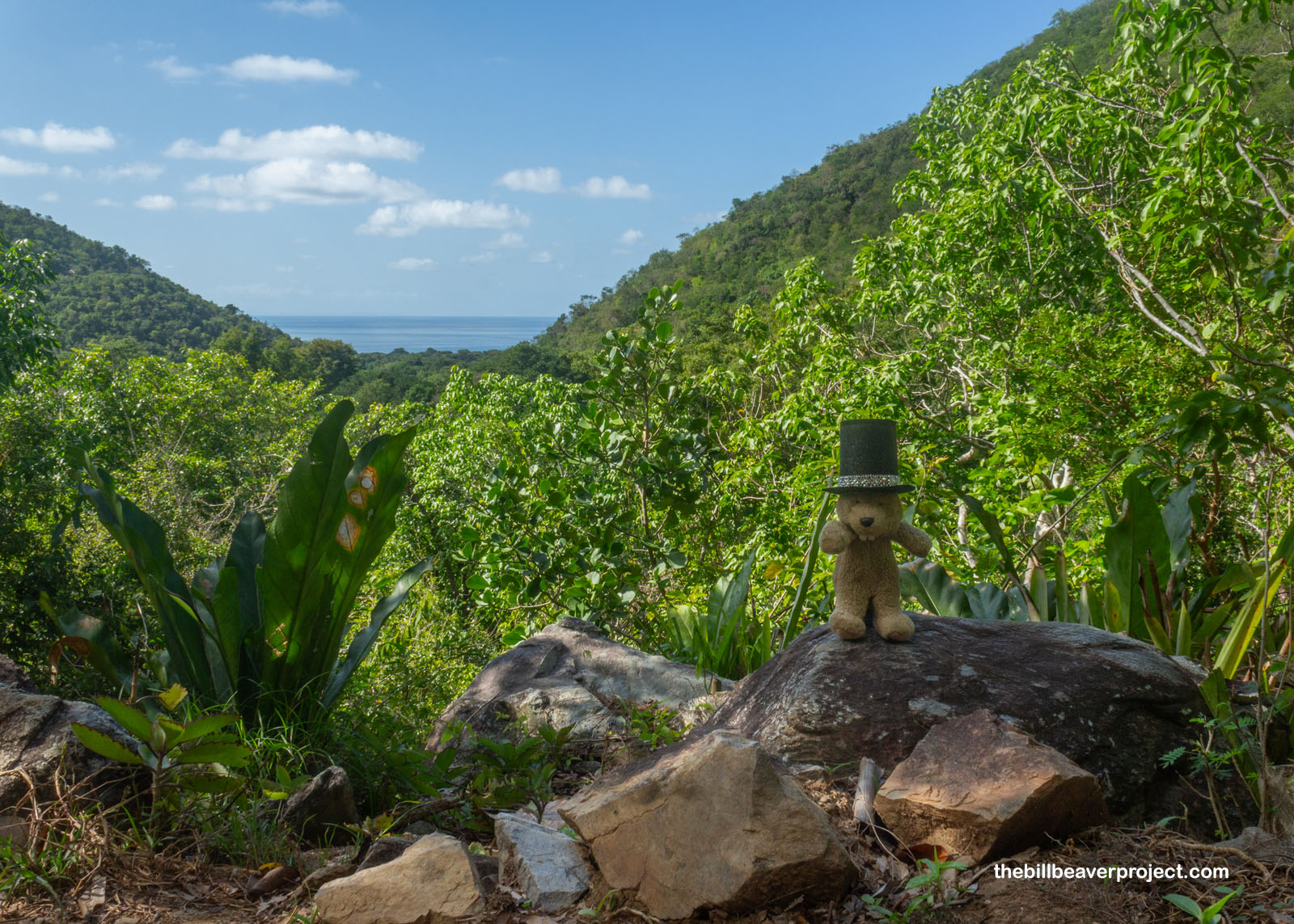 View from the Reef Bay Trail!