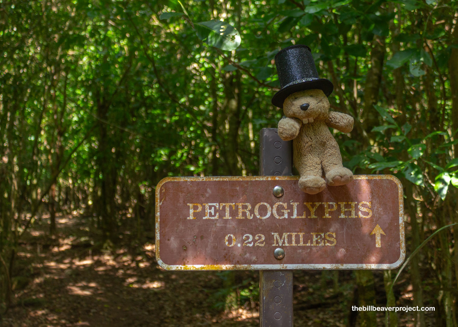 Reef Bay Petroglyph Site