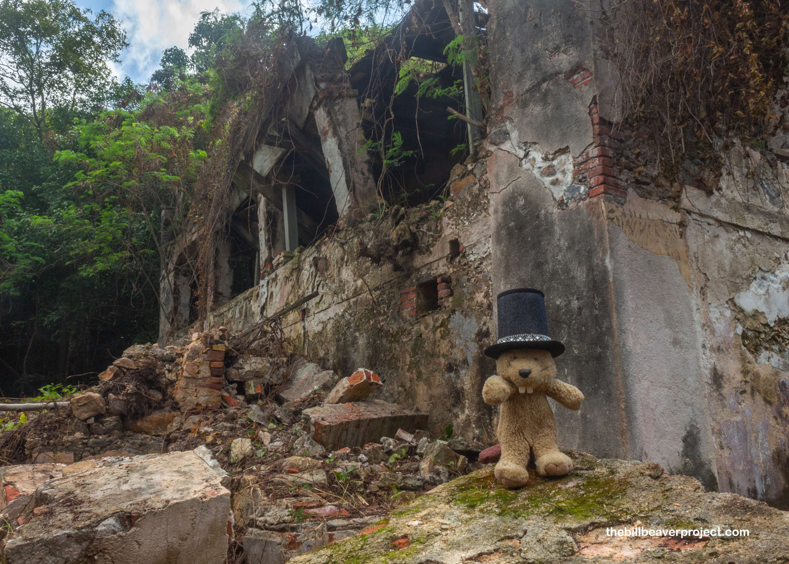 It's slowly being reclaimed by the forest!