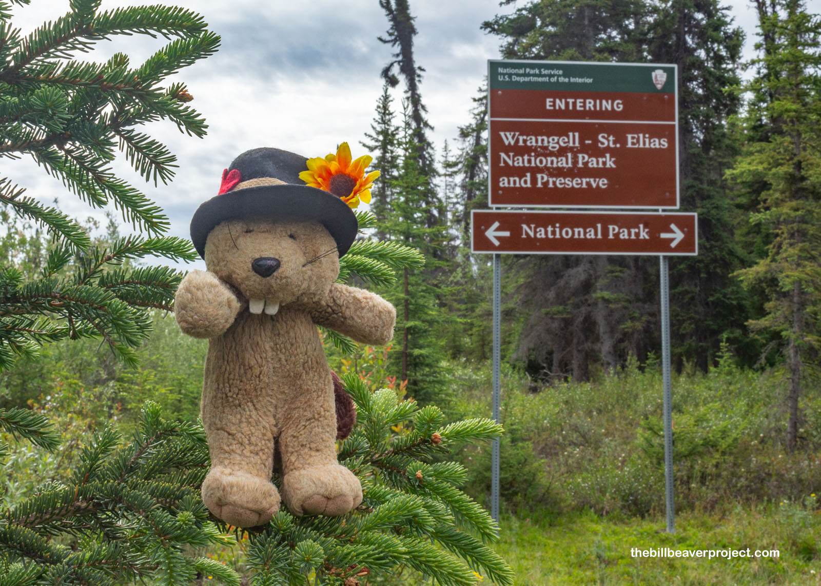 Wrangell-St. Elias National Park & Preserve
