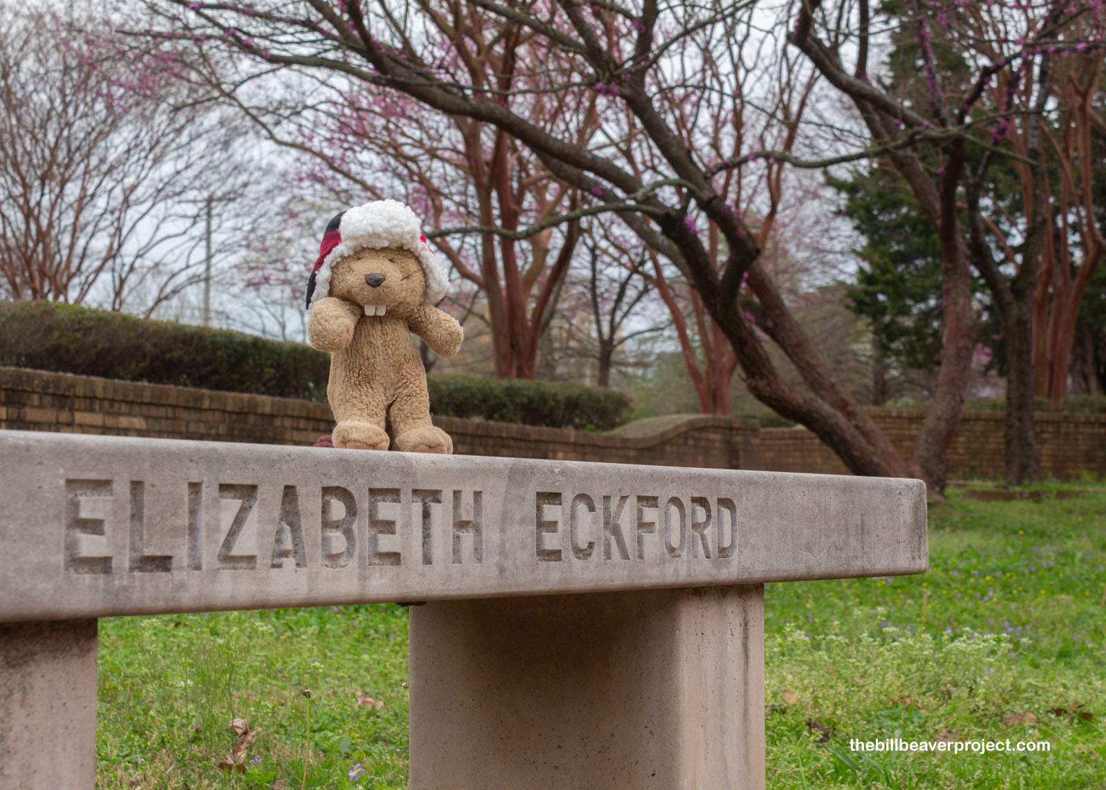 A memorial bench to Elizabeth Eckford!