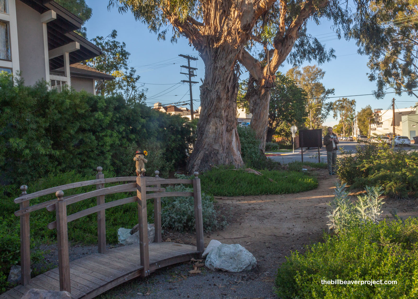 Practically the entire park, all in one frame!