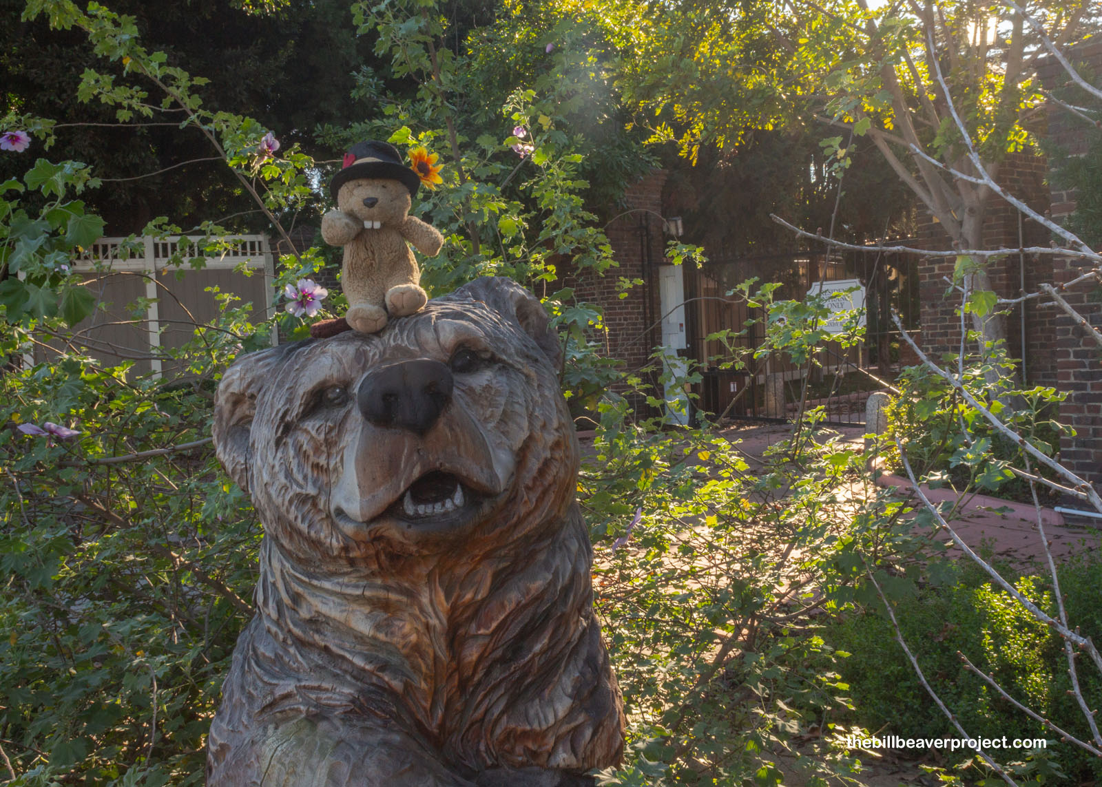 Some of the local wildlife!