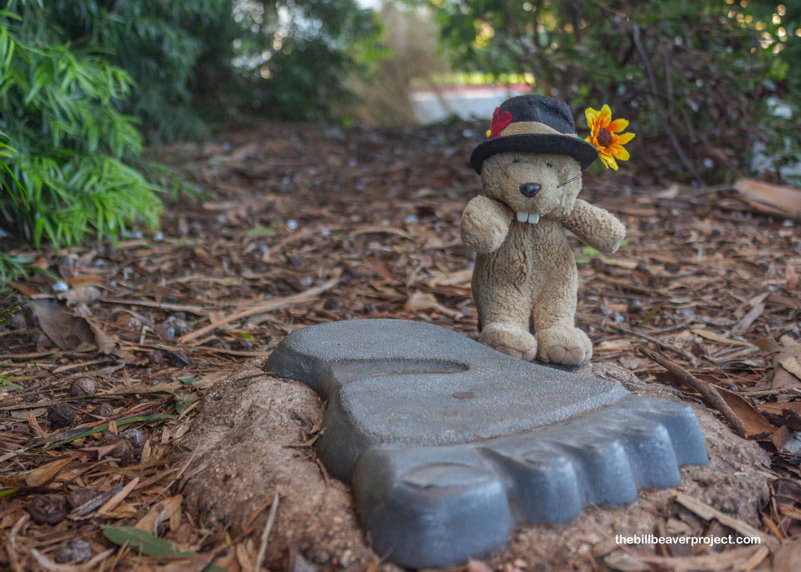 Even Bigfoot's been here…with toenails in his tracks?!