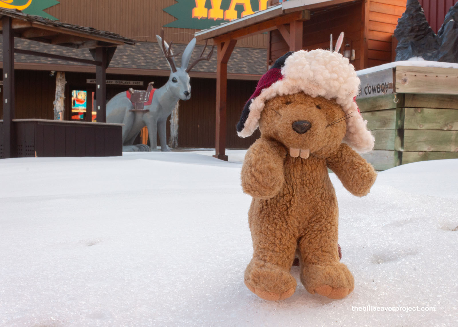 The famous ridable Jackalope in its winter home!