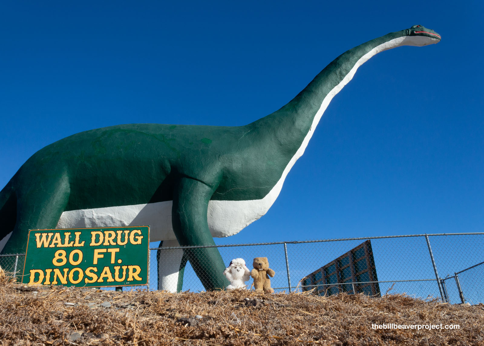 Wall Drug's 80-foot dinosaur!