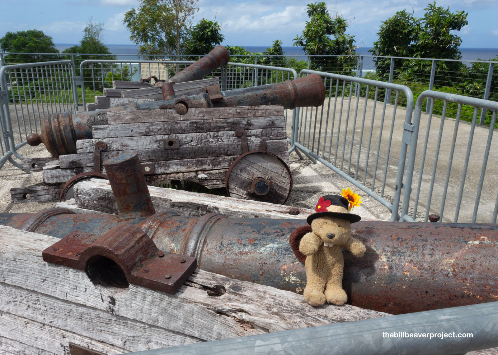 Period-authentic cannons from Fort Santa Agueda!