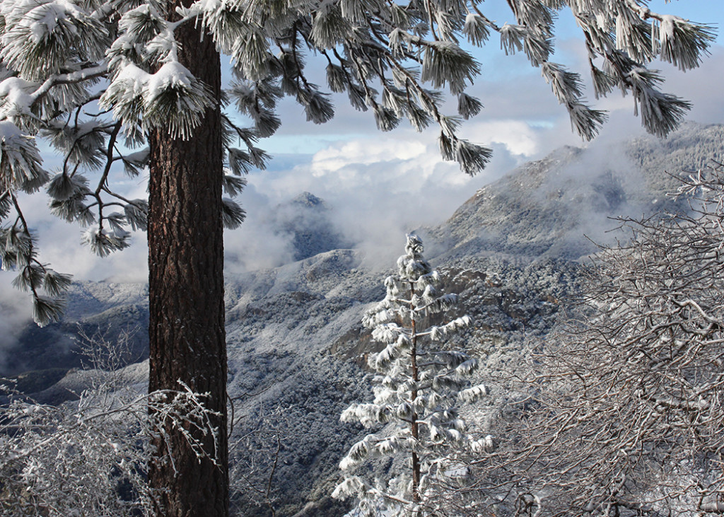 A Wintery Weekend in Sequoia National Park! (Part 2)