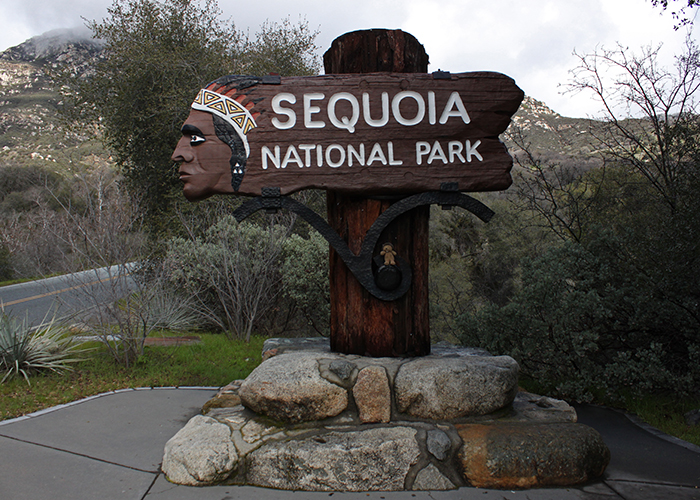 Sequoia National Park!