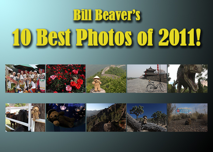 Bill’s 10 Best Photos of 2011!