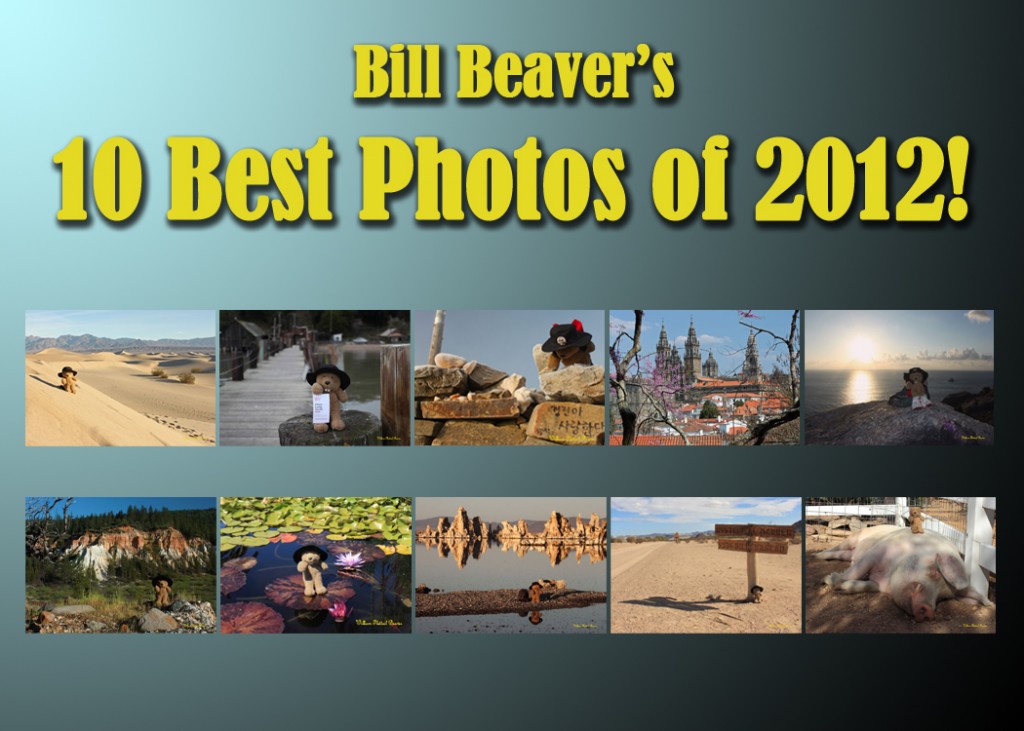 Bill’s 10 Best Photos of 2012!
