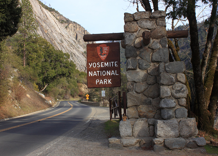 Yosemite National Park!