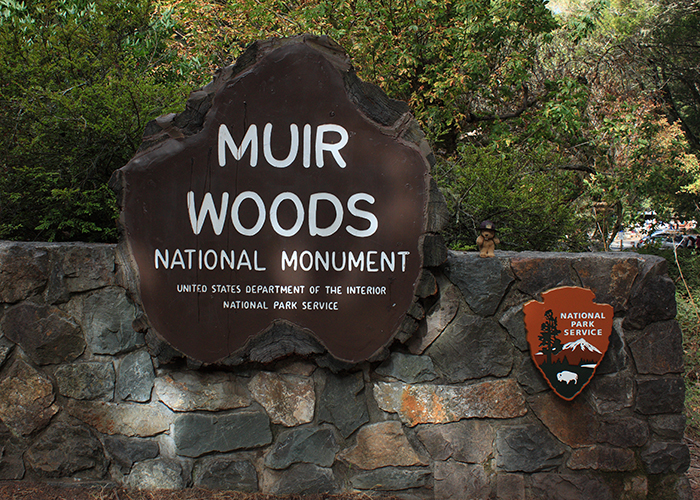 Muir Woods National Monument!