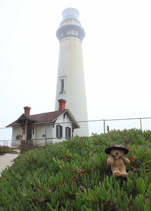 Pigeon Point Lighthouse!