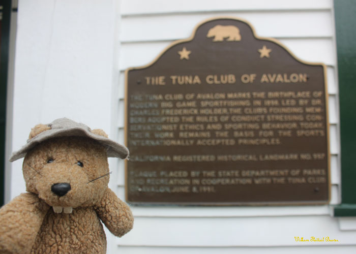 The Tuna Club of Avalon!