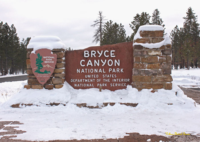 Bryce Canyon National Park!