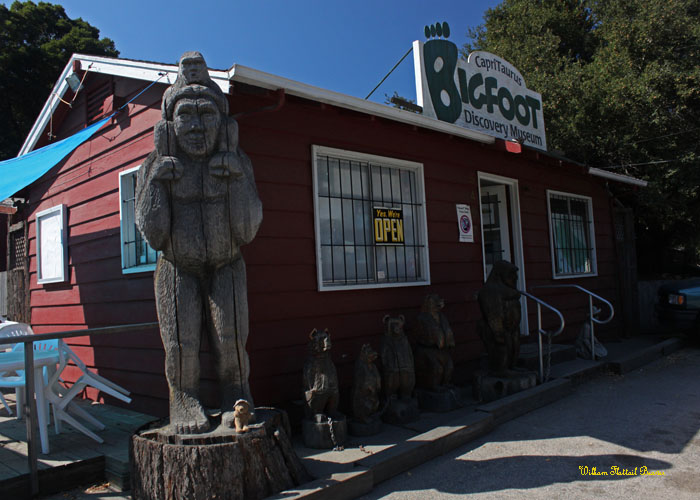 The Bigfoot Discovery Museum!