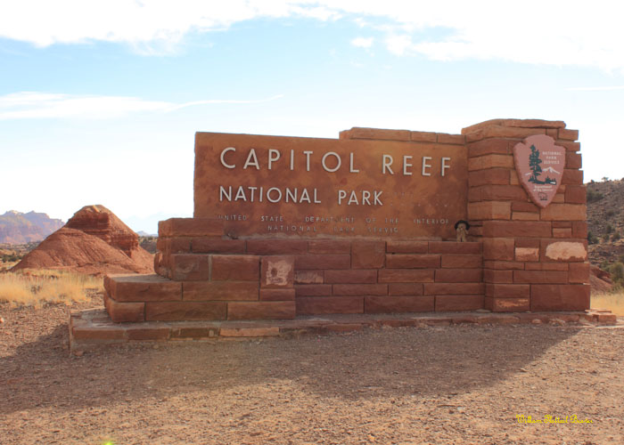 Capitol Reef National Park!