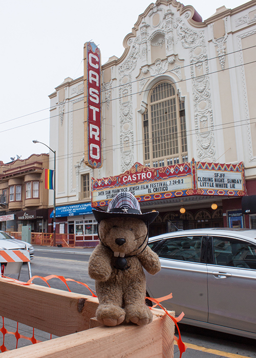 The Castro Theatre (and District)!