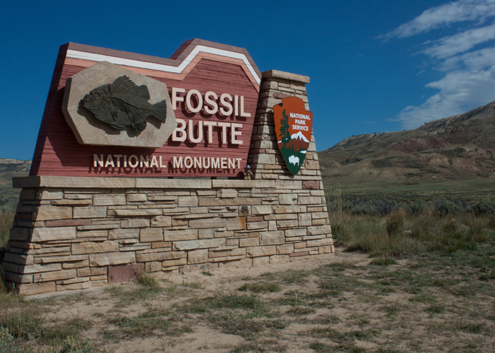 Fossil Butte National Monument!