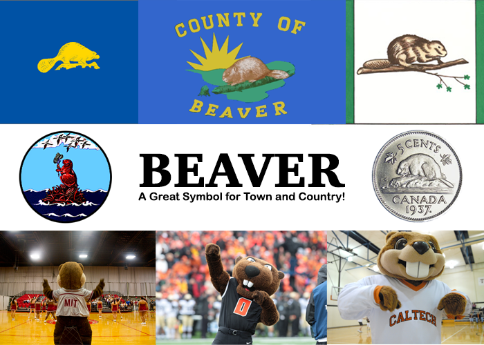 Beaver: A Great Symbol for Town and Country!
