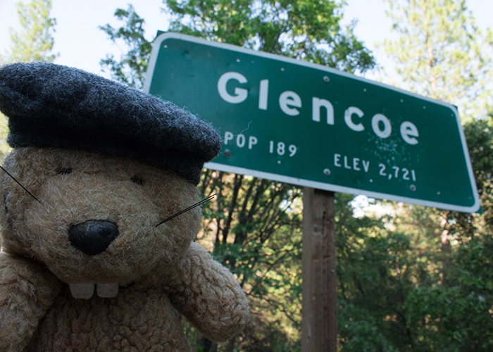 Glencoe, or Mosquito Gulch!