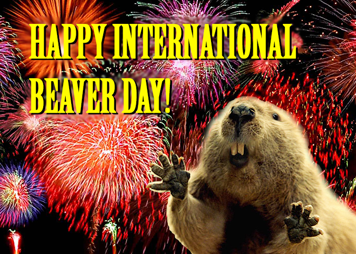 International Beaver Day!