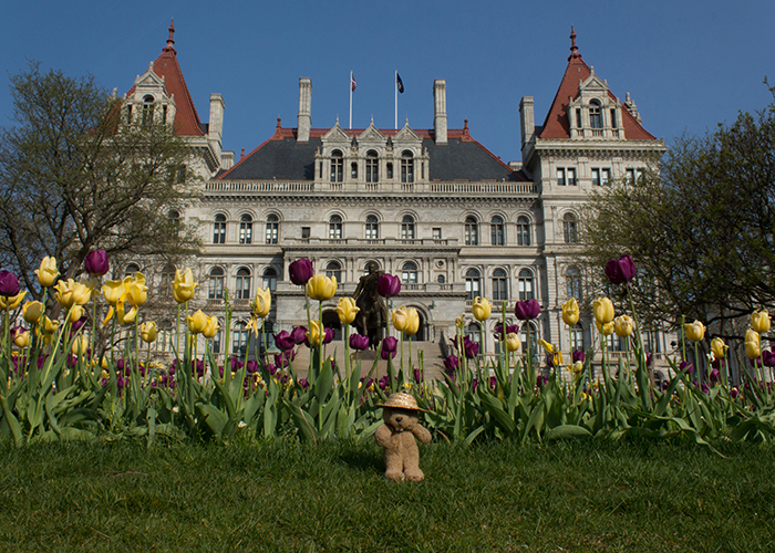 New York State Capitol!