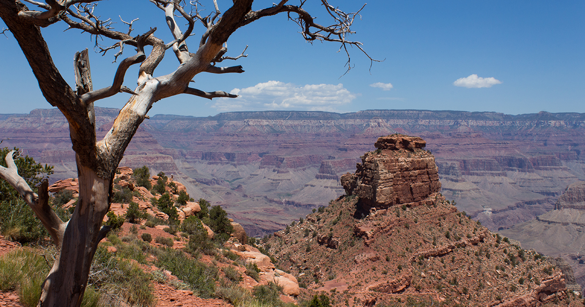 Into the Depths of the Grand Canyon!