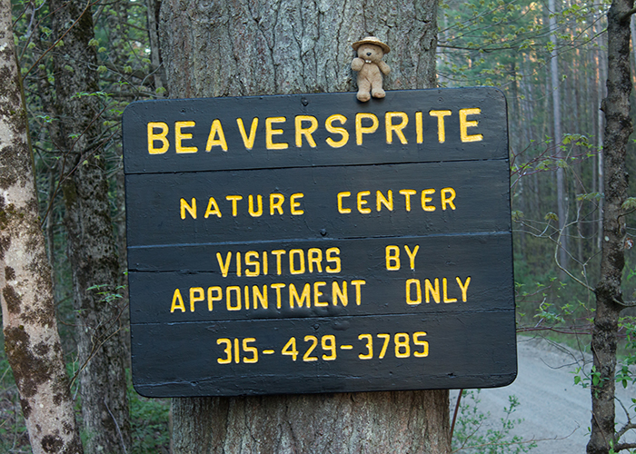 Beaversprite Wildlife Sanctuary!