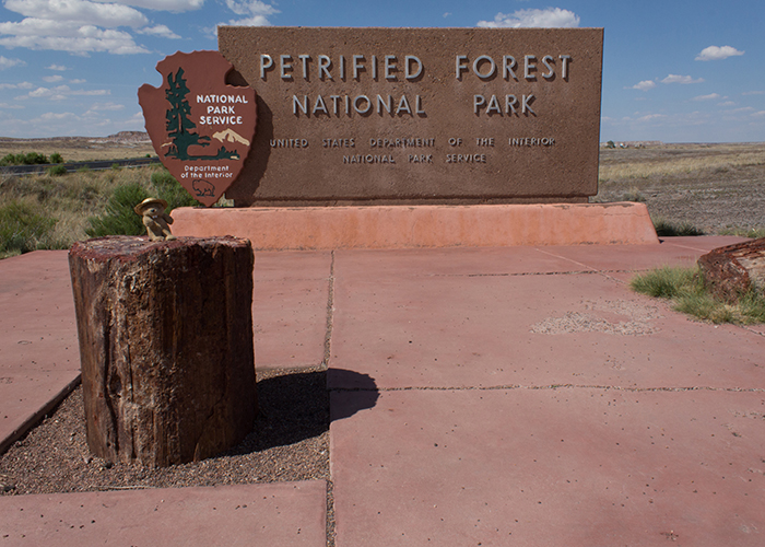 Petrified Forest National Park!