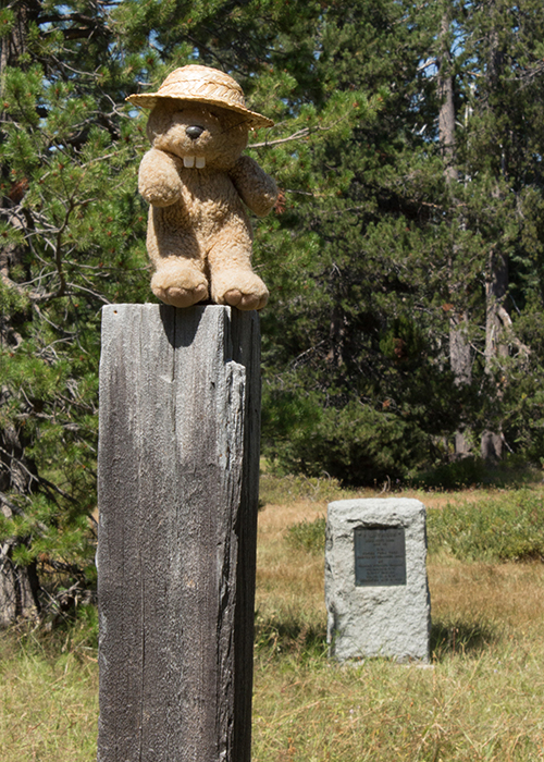 Pioneer Grave (Grizzly Creek)!